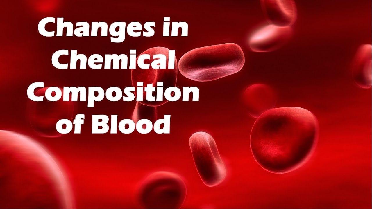 Blood Is A Compound Or Mixture Chemical Makeup Of Blood | Saubhaya Makeup