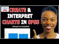 "How to Create Professional Charts in SPSS (Step-by-Step Guide for Beginners)" - Practice File Below