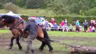 Furmanské Preteky Ľutina