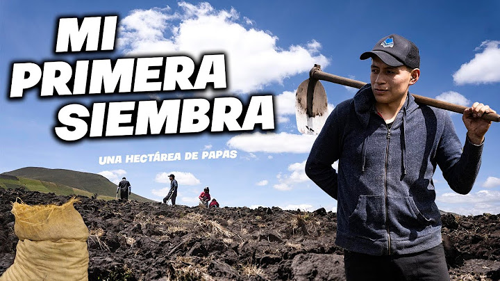 SEMBRÉ UNA HECTAREA DE PAPAS (En pleno Páramo) | John Valverde