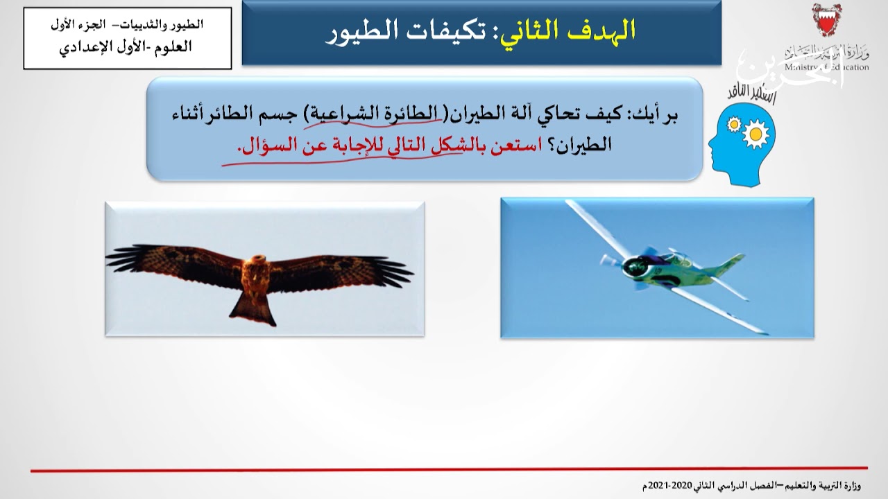 مادة العلوم للصف الاول الاعدادي | الطيور والثدييات