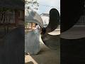 Giant ship propeller #boat