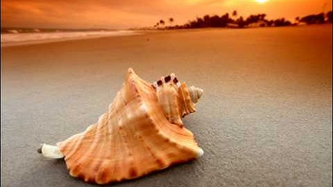 روائع التلاوات - ياسر الفيلكاوي - المؤمنون الاية 28