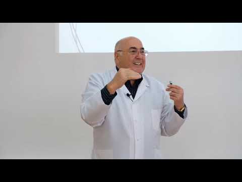 სისხლძარღვები  სისხლის მიმოქცევა