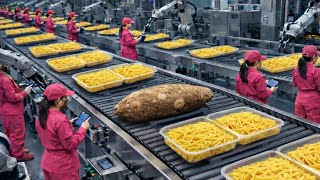 Inside the World's Largest Cassava Pasta  Factory 