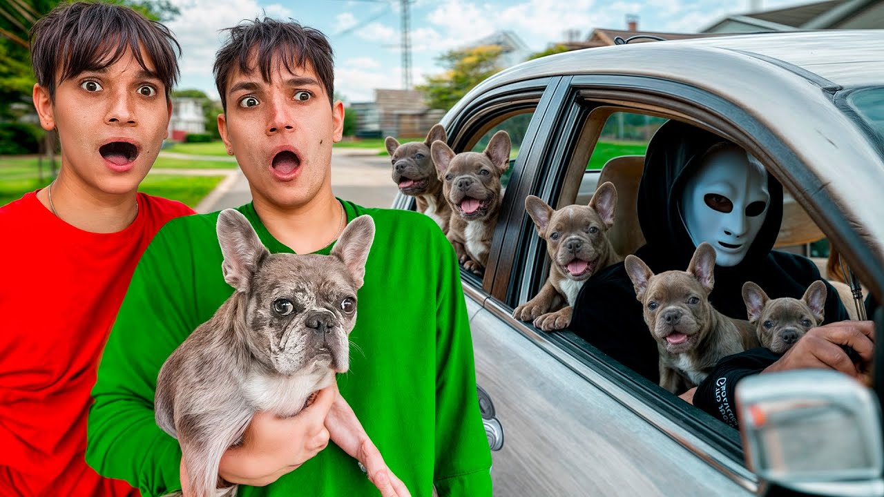 Someone Stole Our Puppies!