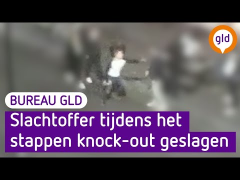 Zomaar knock-out geslagen tijdens het uitgaan | Bureau GLD