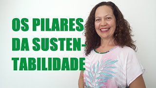 Os pilares da sustentabilidade