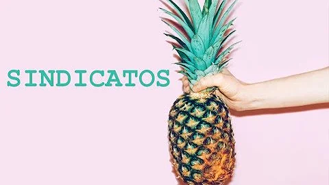 O que é um sindicato de empresa?