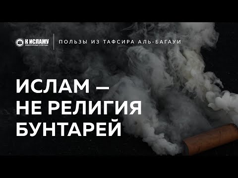 Ислам — не религия бунтарей и анархии | Пользы из Тафсира аль-Багауи. Ринат Абу Мухаммад
