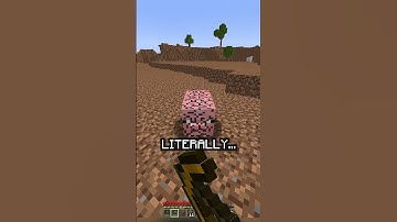 Minecraft, But You Can Mine Everything...