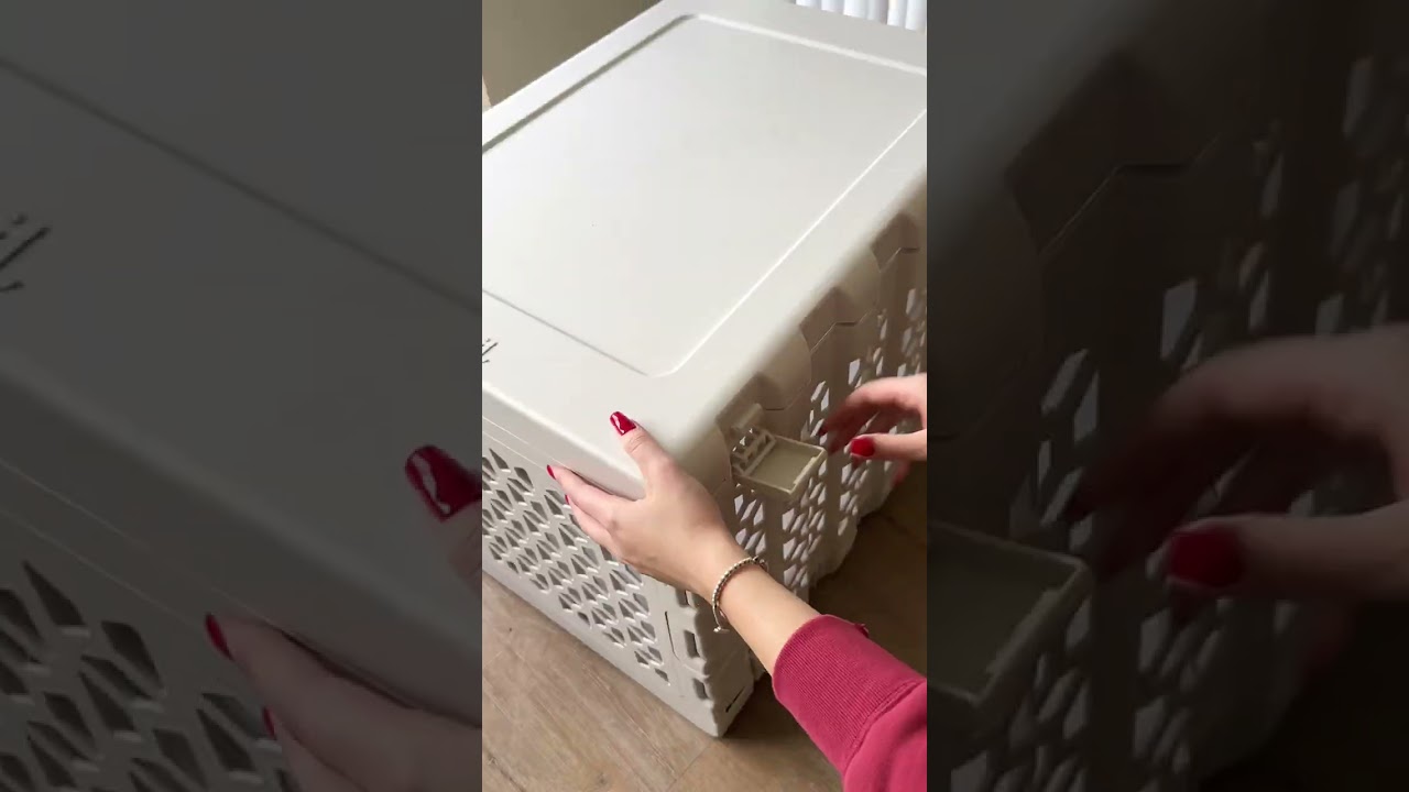 First time furparents? 