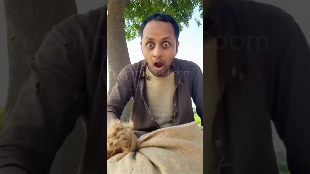 God Give Me A Bag Money 