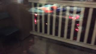 Fremont Fire Department Fire Engine Responding