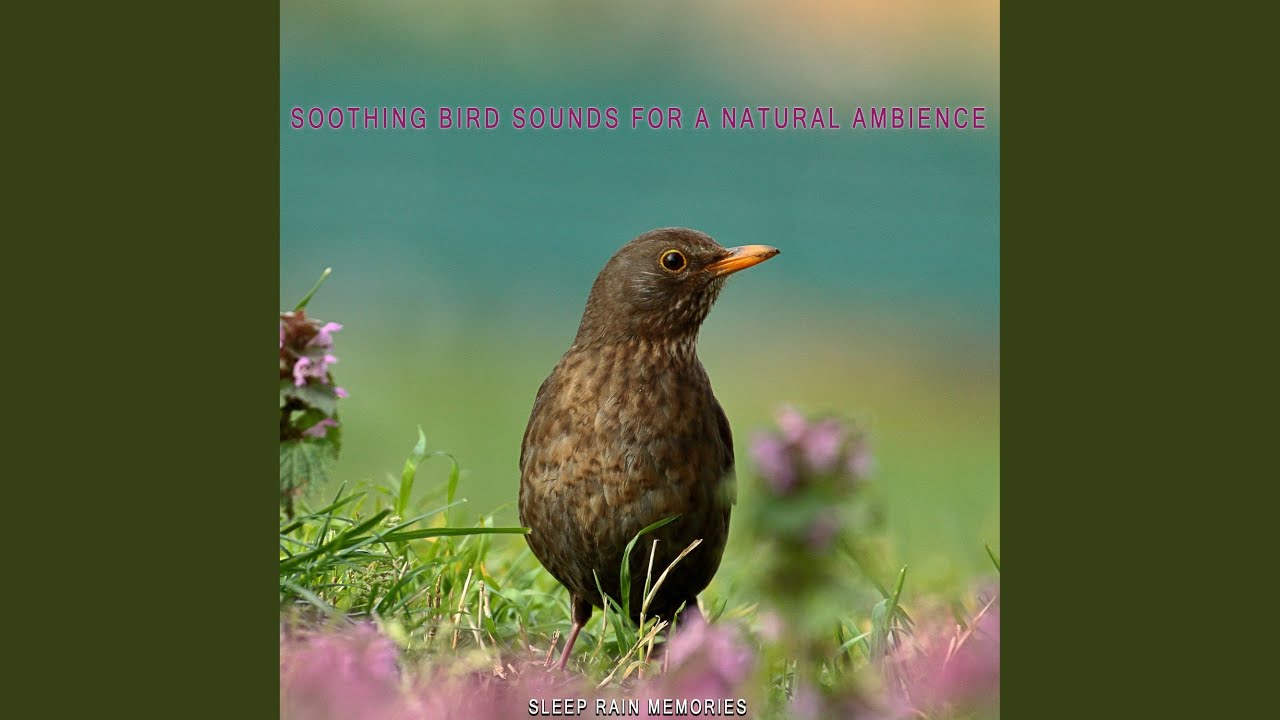 Birds Along the Riverbank