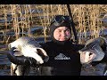 ПОДВОДНАЯ ОХОТА В ФИНЛЯНДИИ. Аландские острова.  ДИАЛОГИ С ПОДВОХАМИ Wild Fishing Finland