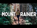 Mt Rainier National Park In One Day (Paradise, Best Views & Day Hike)