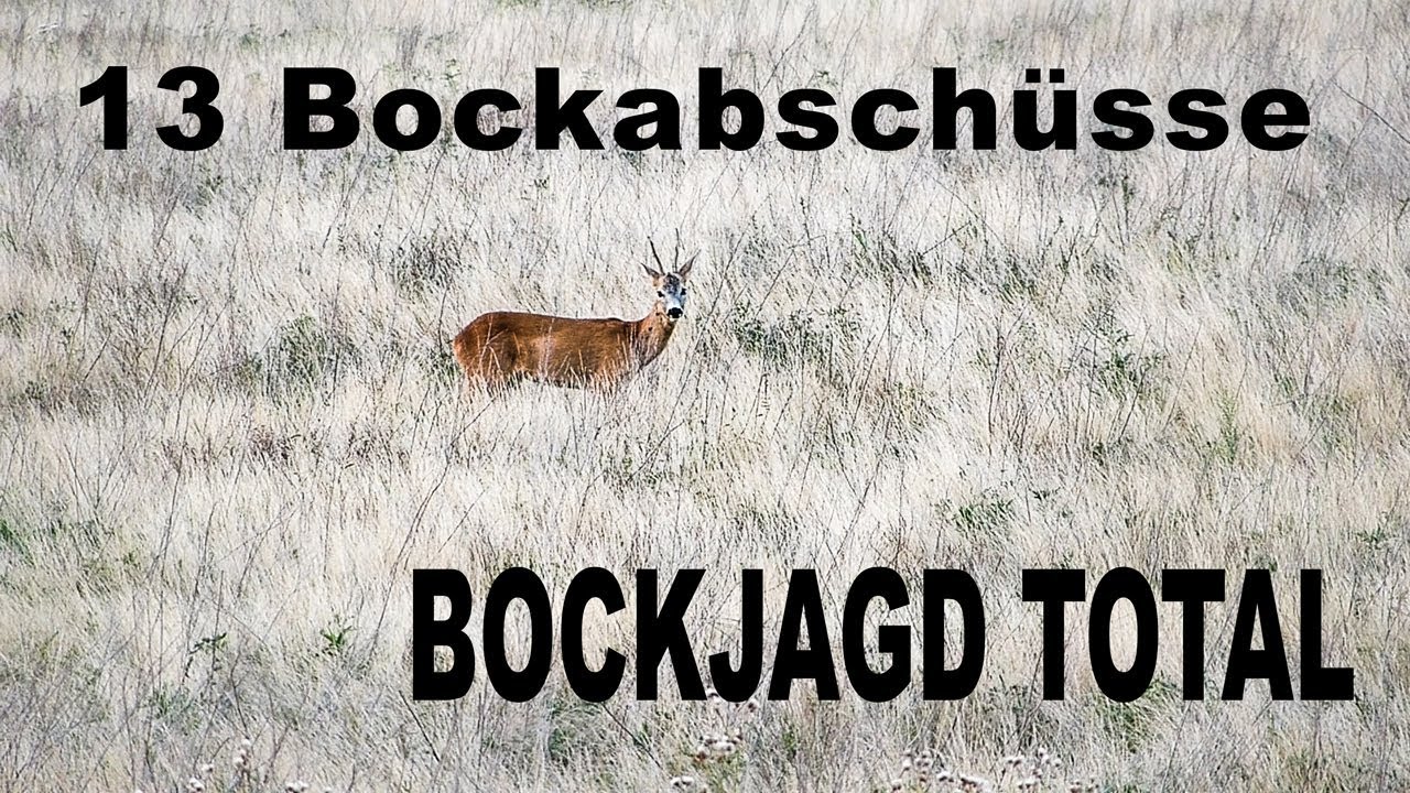 13 Bockabschüsse - BOCKJAGD TOTAL - YouTube