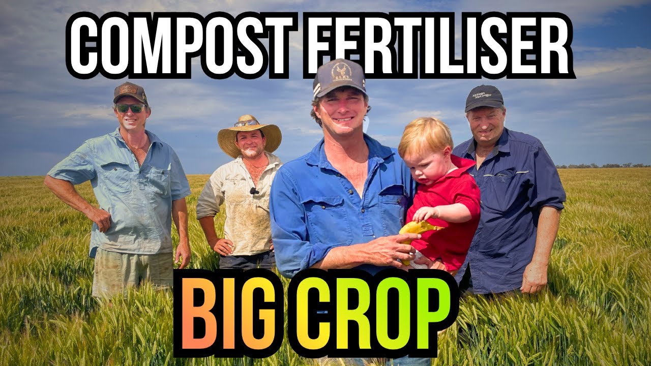 Как эти братья превращают куриный помет в золото!