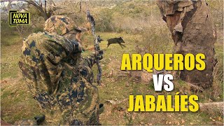 ARQUEROS VS JABALIES