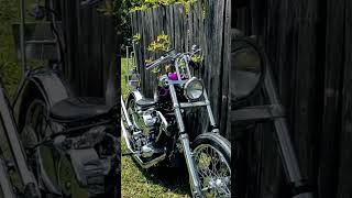 Harley Davidson PANHEAD Custom in the GARDEN