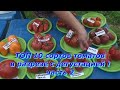ТОП 10 сортов томатов , демонстрация в разрезе и дегустация !
