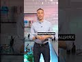 Что общего у смородинового листа, маракуйи и котиков? 🧐