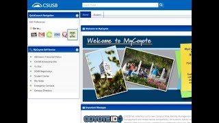 CSUSB New Login to View a PAWS Report