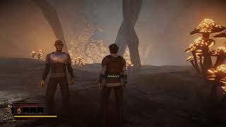 Signs of Darkness - Early Access - Test Stream