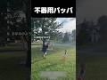 不器用パッパ