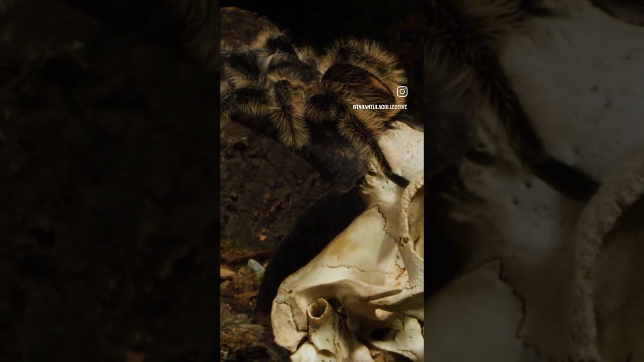 At least there's hope? 