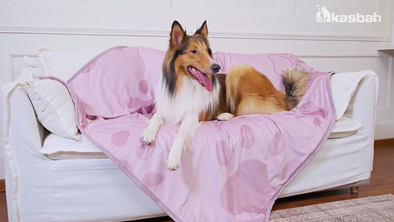 KASBAH 2-in-1 Dog Cooling Blanket | Waterproof & All-Season Comfort 🐾