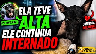 Ela foi para o hotel ele vai precisar de cuidados