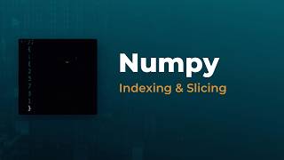 NumPy Indexing & Slicing
