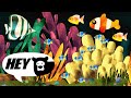 Hey Bear Sensory - Tropical Aquarium - Relaxing Video with Music