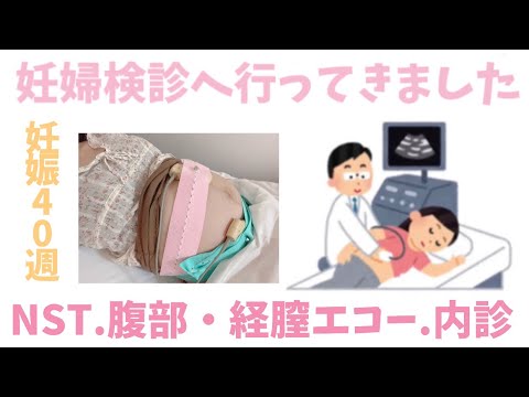 妊婦検診 Nst 腹部 経膣エコー動画 内診グリグリ 妊娠40週 正産期 妊娠後期 臨月 産婦人科 Youtube 妊婦検診 Nst 腹部 経膣エコー動画 内診グリグリ 妊娠40週 正産期 妊娠後期 臨月 産婦人科 Youtube