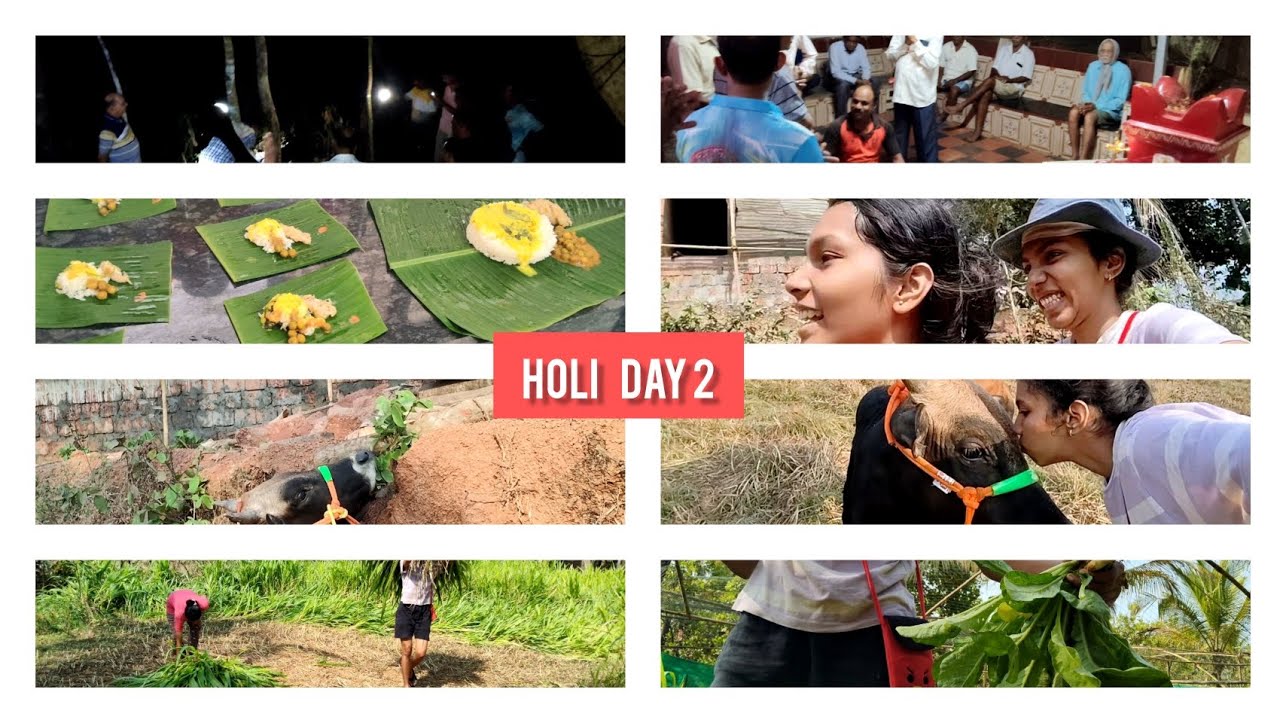 Shimgo day 2 holi in konkan #holi #konkanpremi #minivlog