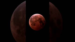 Blood Moon