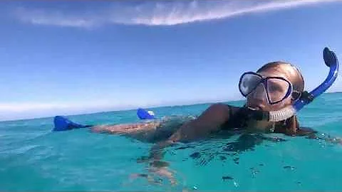 Eleuthera Bahamas Episode 8 Snorkeling Atlantic Oc...
