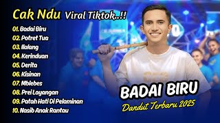 Download Lagu Cak Ndu Viral Tiktok - BADAI BIRU - POTRET TUA - DERITA || DANGDUT TERBARU 2025 MP3