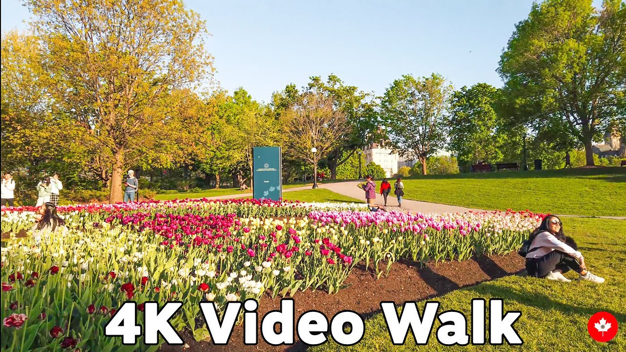 Ottawa Canada 🌷 Tulip Festival 2022 🌷 4K Spring Walk Tour | 21 May 2022