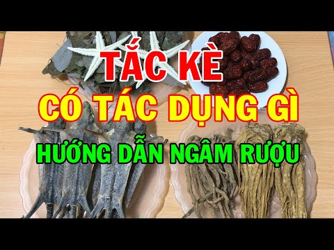 Video Tắc kè có tác dụng gì ? - Tắc kè khô Hướng dẫn ngâm... - youtube