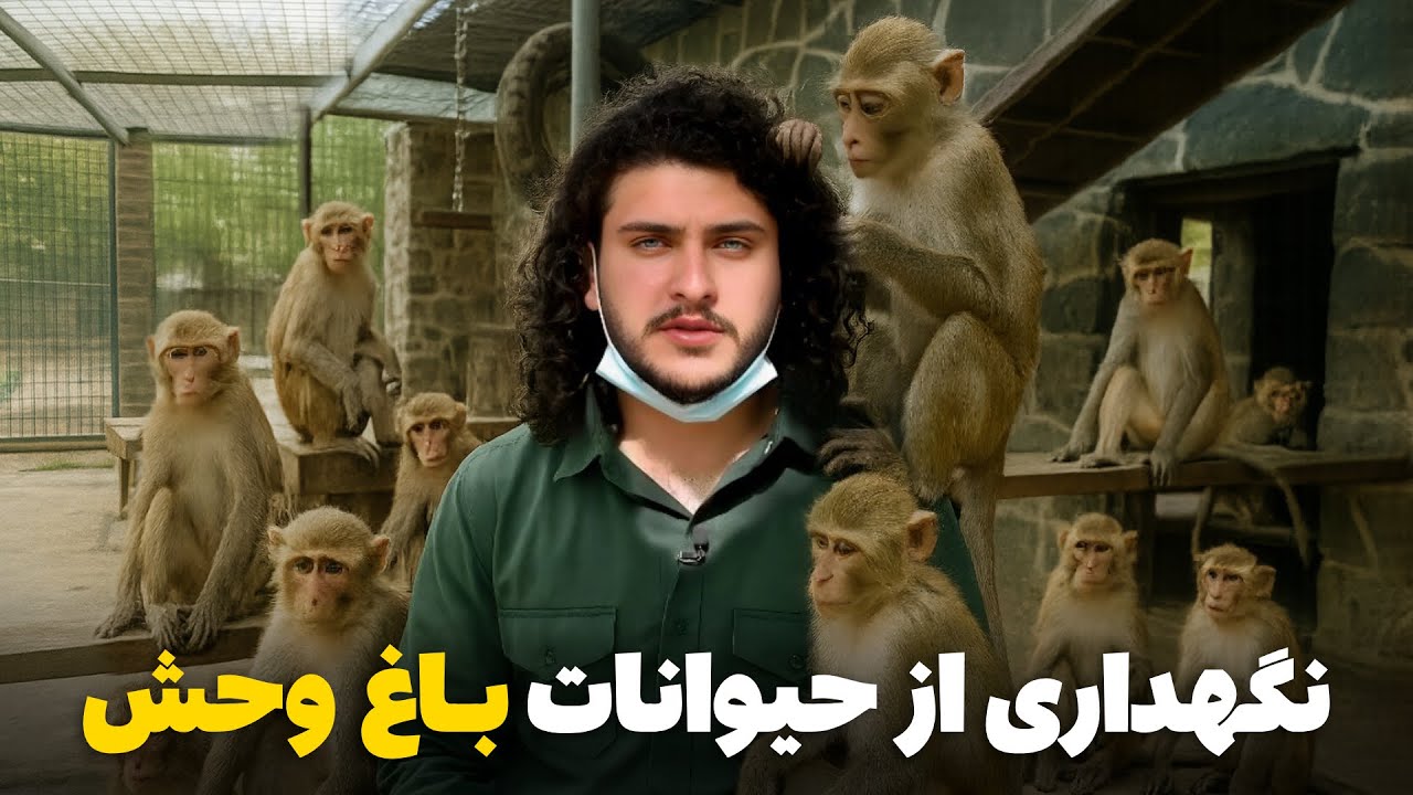 نان آور - چالش نگهداری و غذا دادن به حیوانات درنده و وحشی توسط باسط ایرج