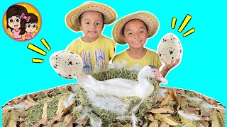 NUESTRO PATITO PUSO HUEVOS | Las Leoncitas Kids by LAS LEONCITAS KIDS 6,958,901 views 2 years ago 10 minutes, 1 second