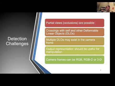 Detection and Physical Interaction with Deformable Linear Objects