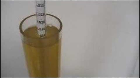 Hydrometer - Brewing Beginner Series
