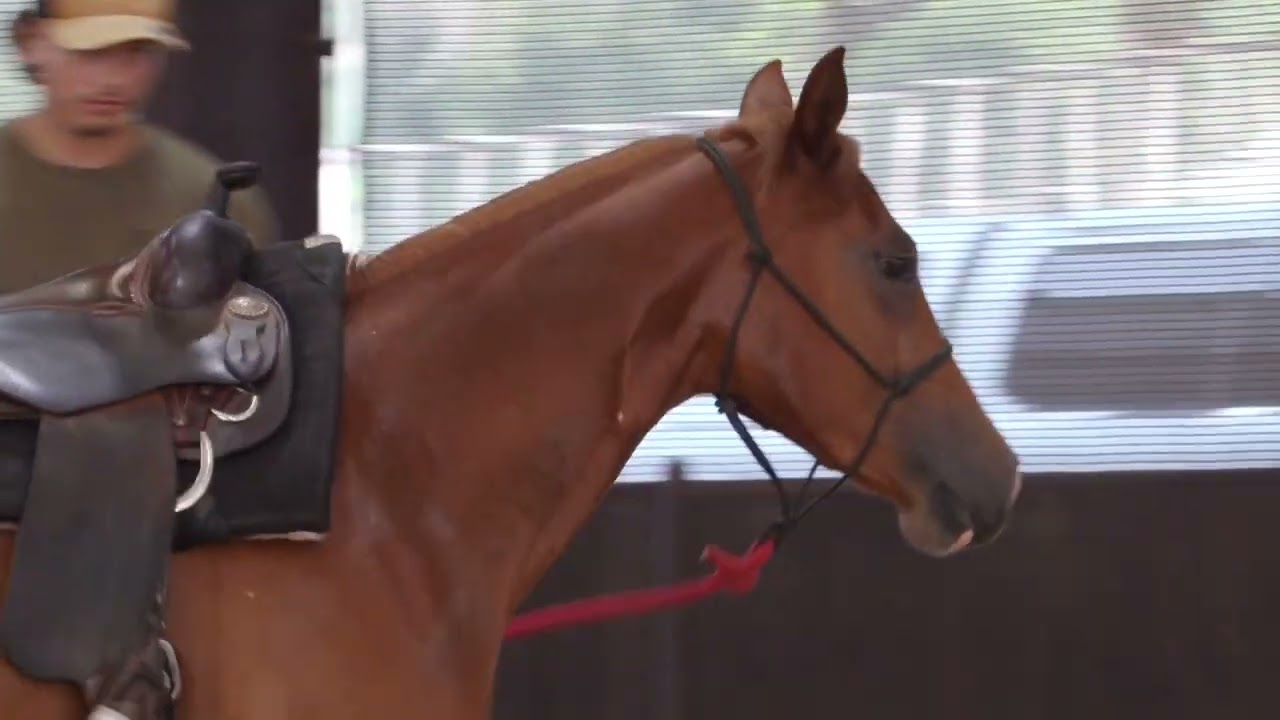 Встречи с Мэттом «Blue Thunder в тренде»