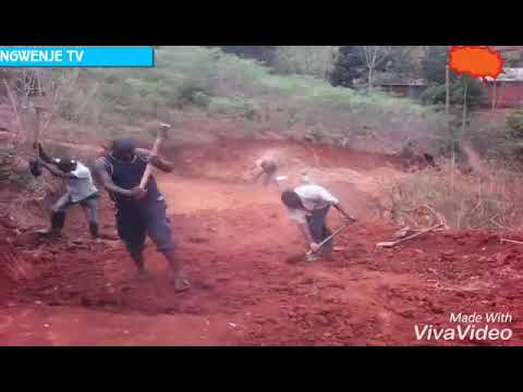Ngwenje Tv- Uchimbaji wa barabara mtaa wa kibwe kata ya boma morogoro