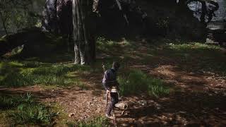 Monkey King!! screenshot 1