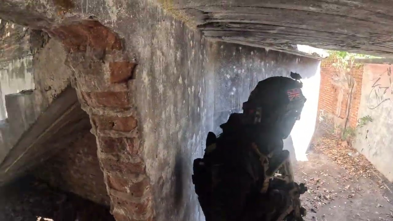 RED EYED DEMOS MAZATLAN